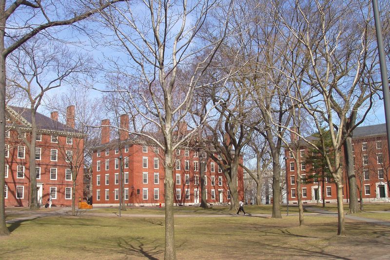 Harvard Yard in winter, showing the iconic red brick dormitory buildings of Harvard University through bare trees