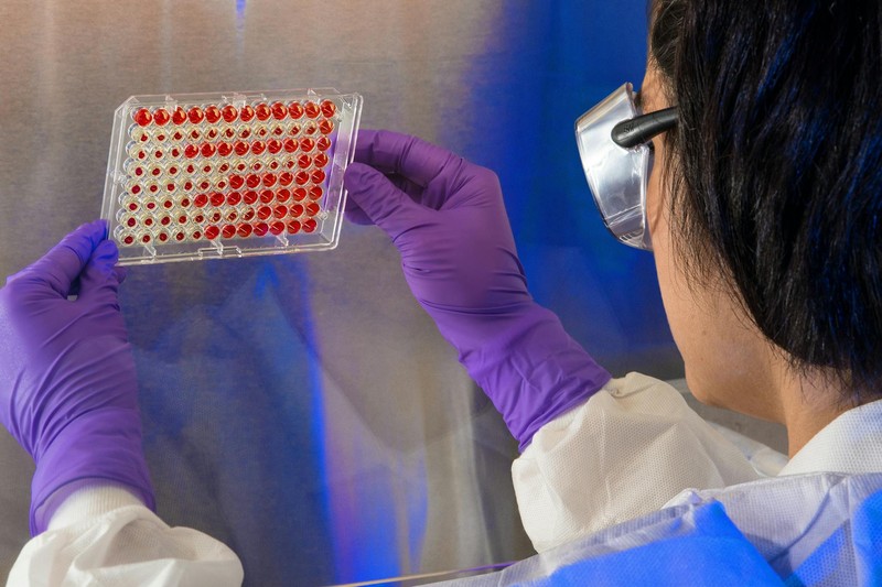 Scientist in purple gloves examining a multi-well sample tray filled with red liquid in a laboratory setting