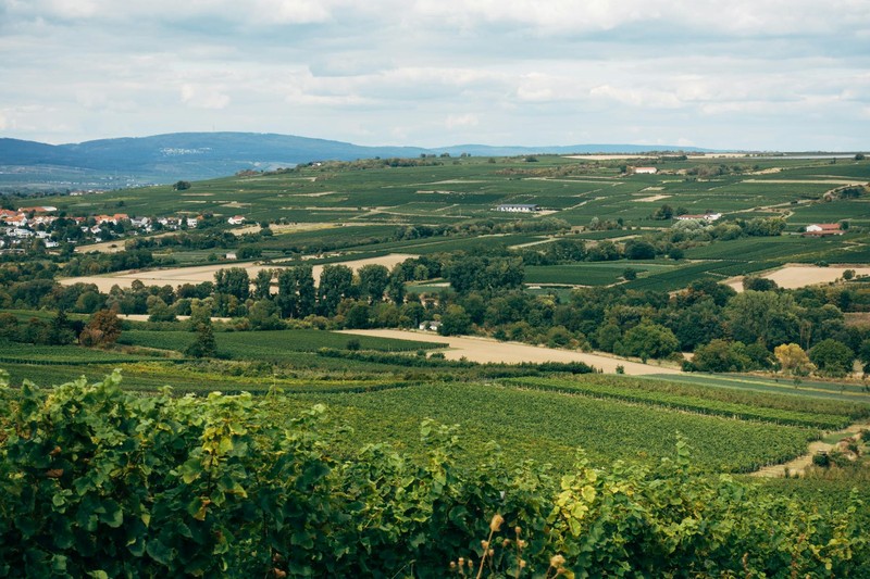 A ballot box surrounded by voting stickers, symbolizing democratic elections