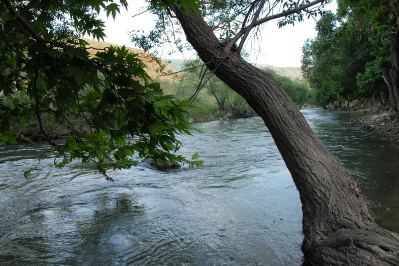 The Litani River flows through Southern Lebanon, its banks lined with vegetation