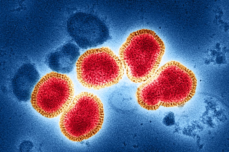 The Flu's Next Nemesis: Scientists Unveil New Class of Antivirals Built for the Next Pandemic