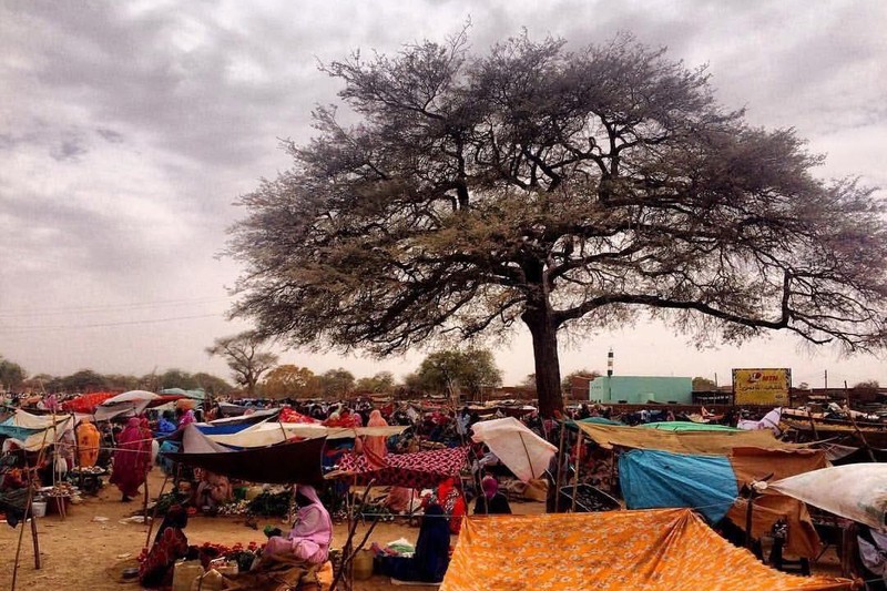 An open-air market in Kabkabiya, North Darfur, Sudan, with colorful stalls beneath a large tree under overcast skies