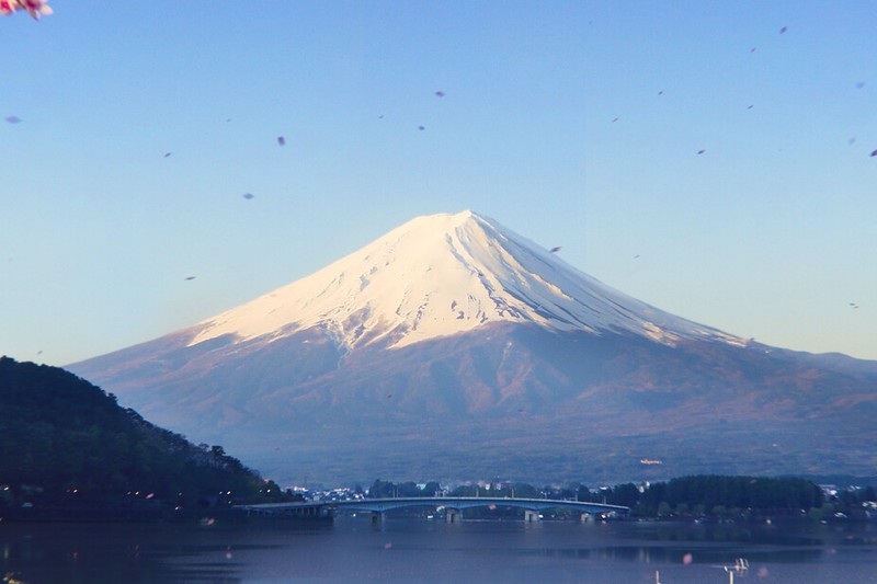 Forza Horizon 6 promotional artwork