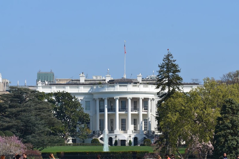 The White House on a bright day with manicured lawn, fountain, and blooming cherry trees