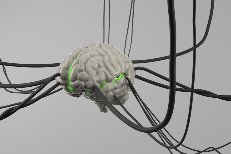 A 3D-rendered human brain connected to a network of cables with glowing green signals, representing brain-computer interface technology