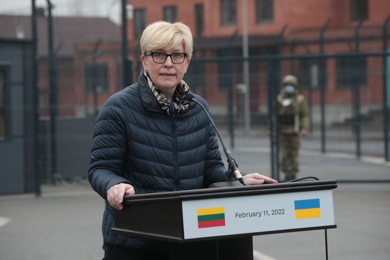 An official speaks at a podium bearing Ukrainian and Lithuanian flags during a visit to Luhansk Oblast