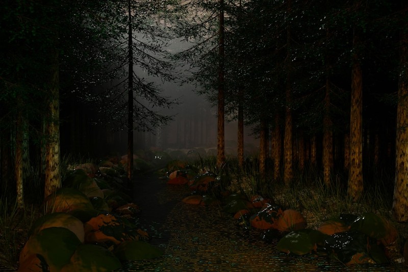 A dark, misty forest path rendered in a video game art style, with tall conifer trees and rocky ground fading into fog