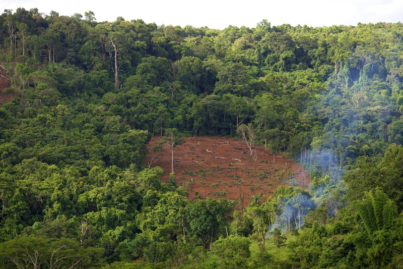 Aerial view of a large deforested clearing surrounded by dense tropical rainforest in Mondulkiri, Cambodia