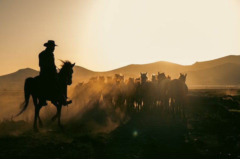 A cowboy on horseback herds a group of horses across a dusty plain at golden hour, silhouetted against a warm sunset with mountains in the background