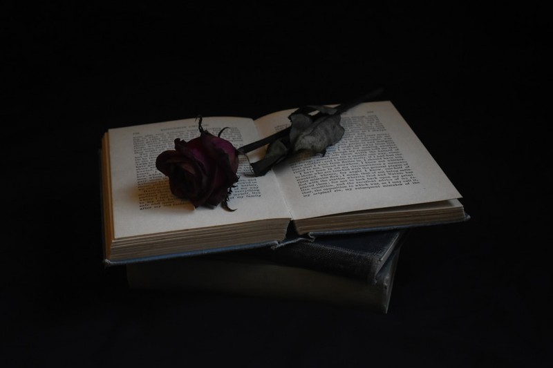 A dried rose resting on an open book against a black background
