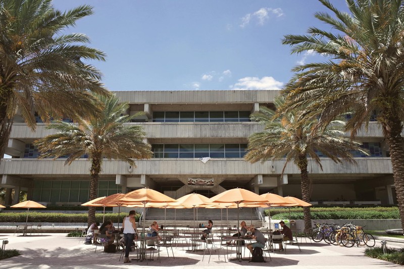 A sunlit Florida university campus plaza with palm trees, outdoor seating with orange umbrellas, and students studying and socializing