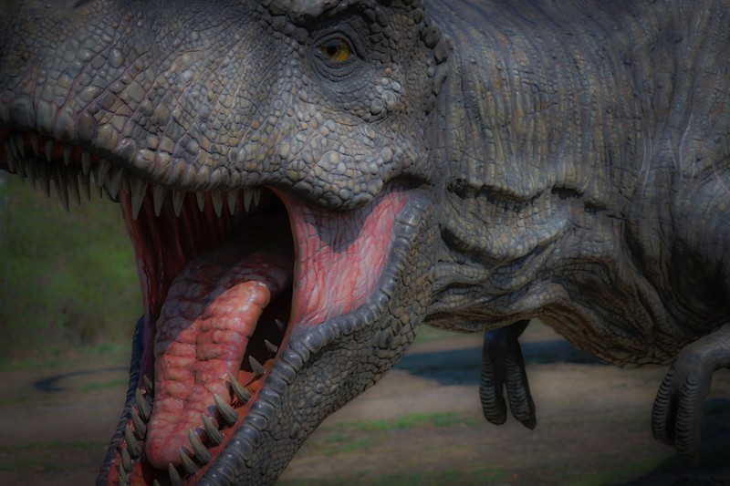 Close-up of a T-Rex dinosaur with its mouth wide open, showing sharp teeth and intense yellow eyes
