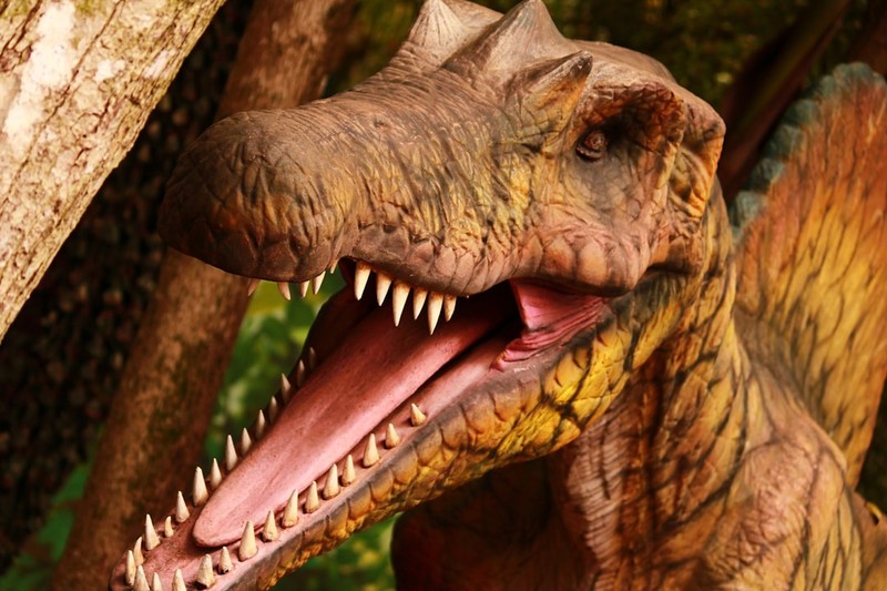 A realistic Spinosaurus dinosaur model with its mouth open in a forested exhibit
