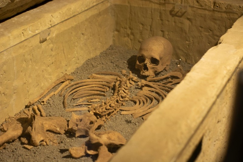Ancient human skeleton in a stone-lined burial pit at an archaeological excavation site