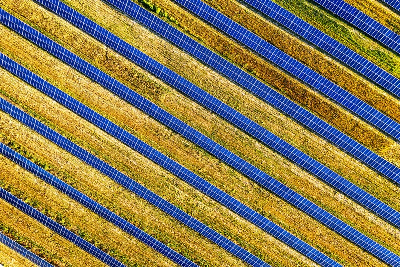 Aerial view of rows of blue solar panels stretching across a golden-brown field
