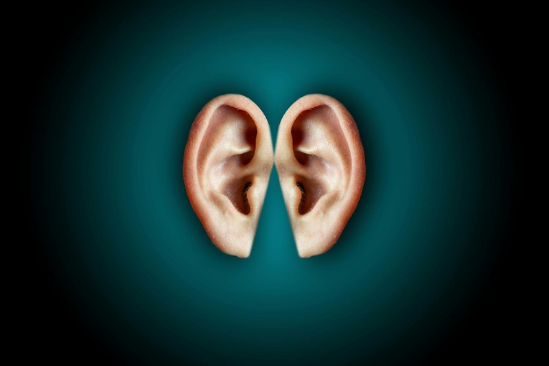 Pair of human ears on a dark teal gradient background, highlighting ear anatomy