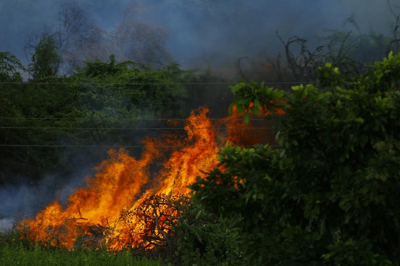 Intense wildfire burning through dense green forest undergrowth with thick dark smoke billowing upward