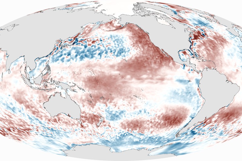 Global sea surface temperature anomaly map showing El Niño conditions with warmer-than-average waters in the eastern and central Pacific Ocean