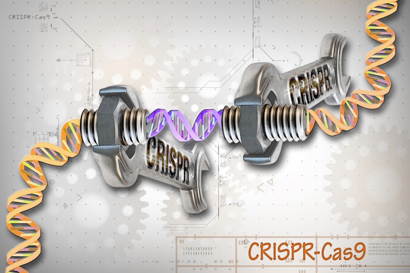 Illustration of CRISPR-Cas9 gene-editing system interacting with a DNA double helix