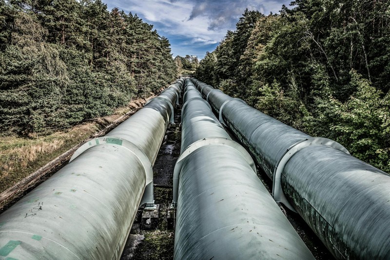 Large industrial pipelines running through a dense green forest