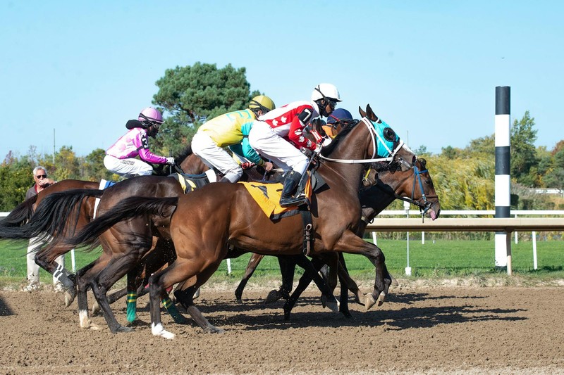 Jockeys on thoroughbred horses racing at full speed on a dirt track
