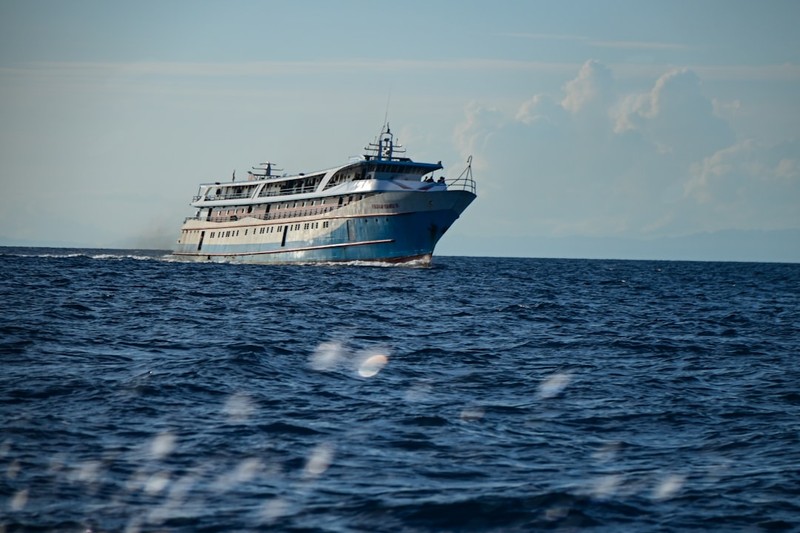 A large cruise ship sailing across the open ocean under a partly cloudy sky