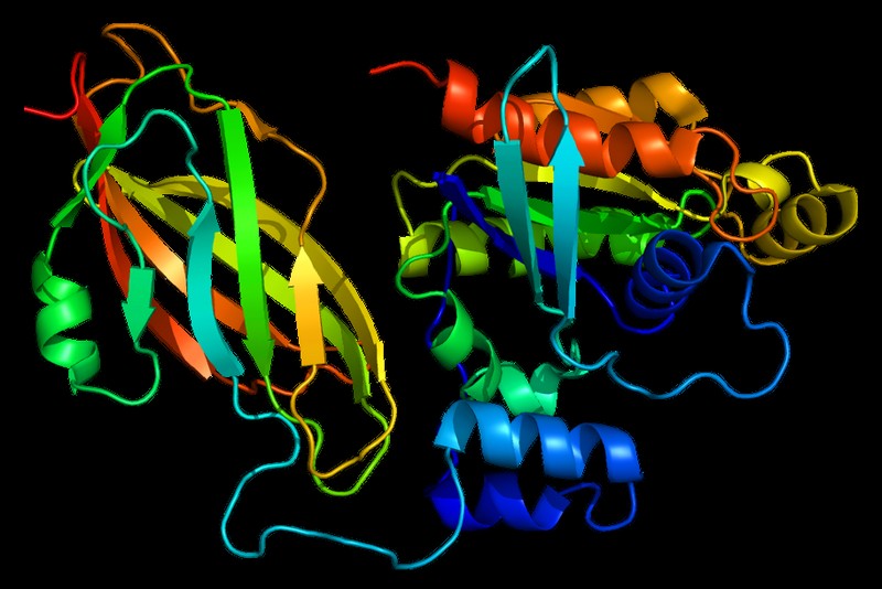 Colorful ribbon diagram showing the 3D structure of a RAS protein complex