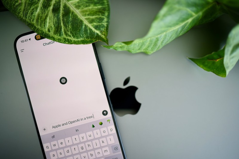 An iPhone displaying a messaging app with green leaves resting on the screen beside a MacBook