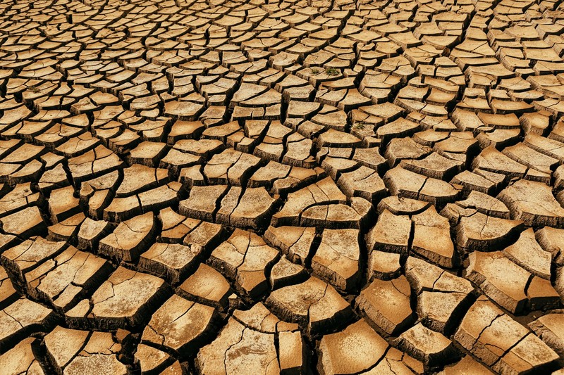 Close-up view of deeply cracked, arid earth surface showing severe drought conditions in Colorado