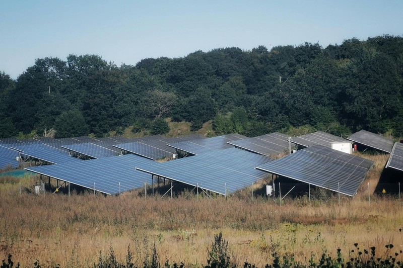 Rows of solar panels arranged across a grassy field with a treeline in the background under a clear sky