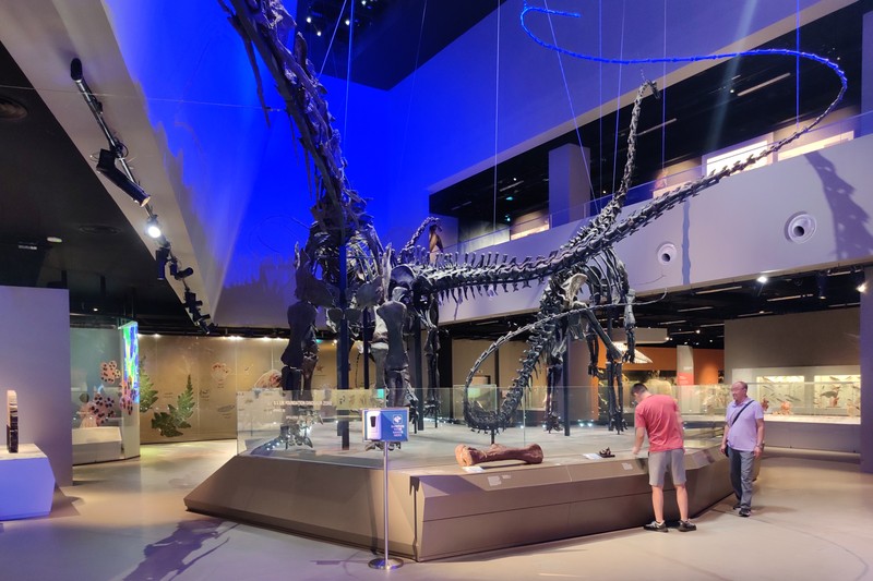 Three large sauropod dinosaur skeletons on display in a dramatic blue-lit natural history museum hall, with visitors standing below for scale