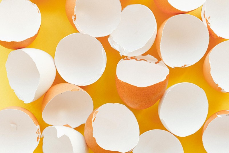 Broken eggshells scattered on a bright yellow background