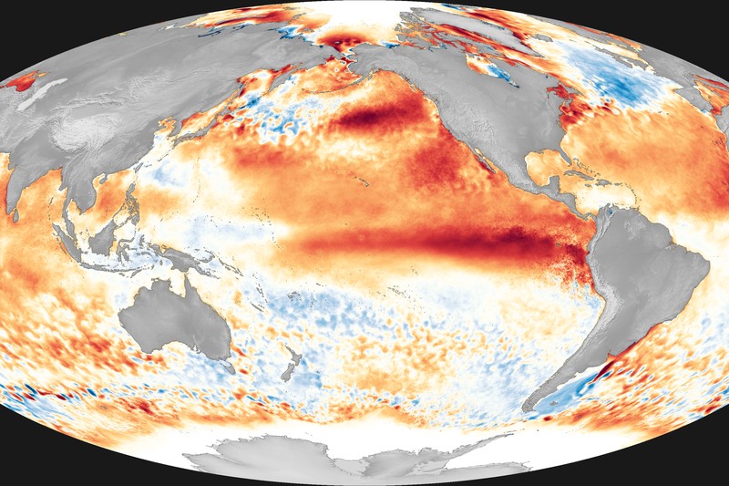 Global map showing sea surface temperature anomalies with warm red and orange tones across the equatorial Pacific Ocean, indicating El Niño conditions