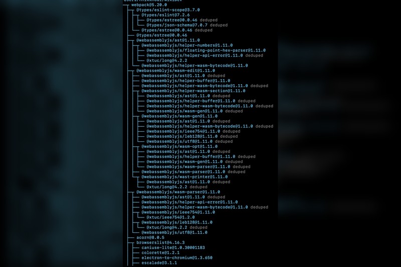Terminal output showing an NPM dependency tree with package names and versions